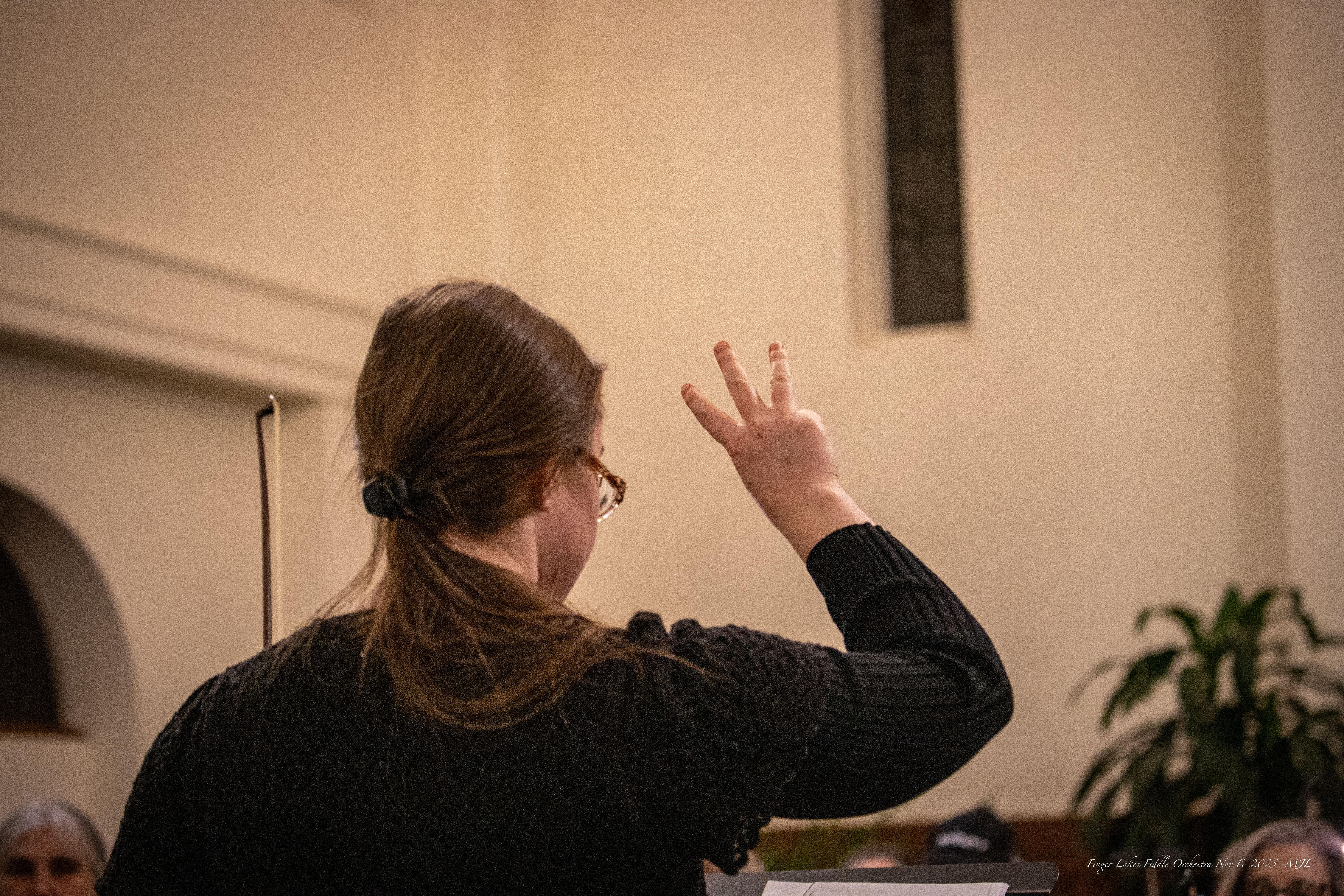 Finger Lakes Fiddle Orchestra November 2025 Concert