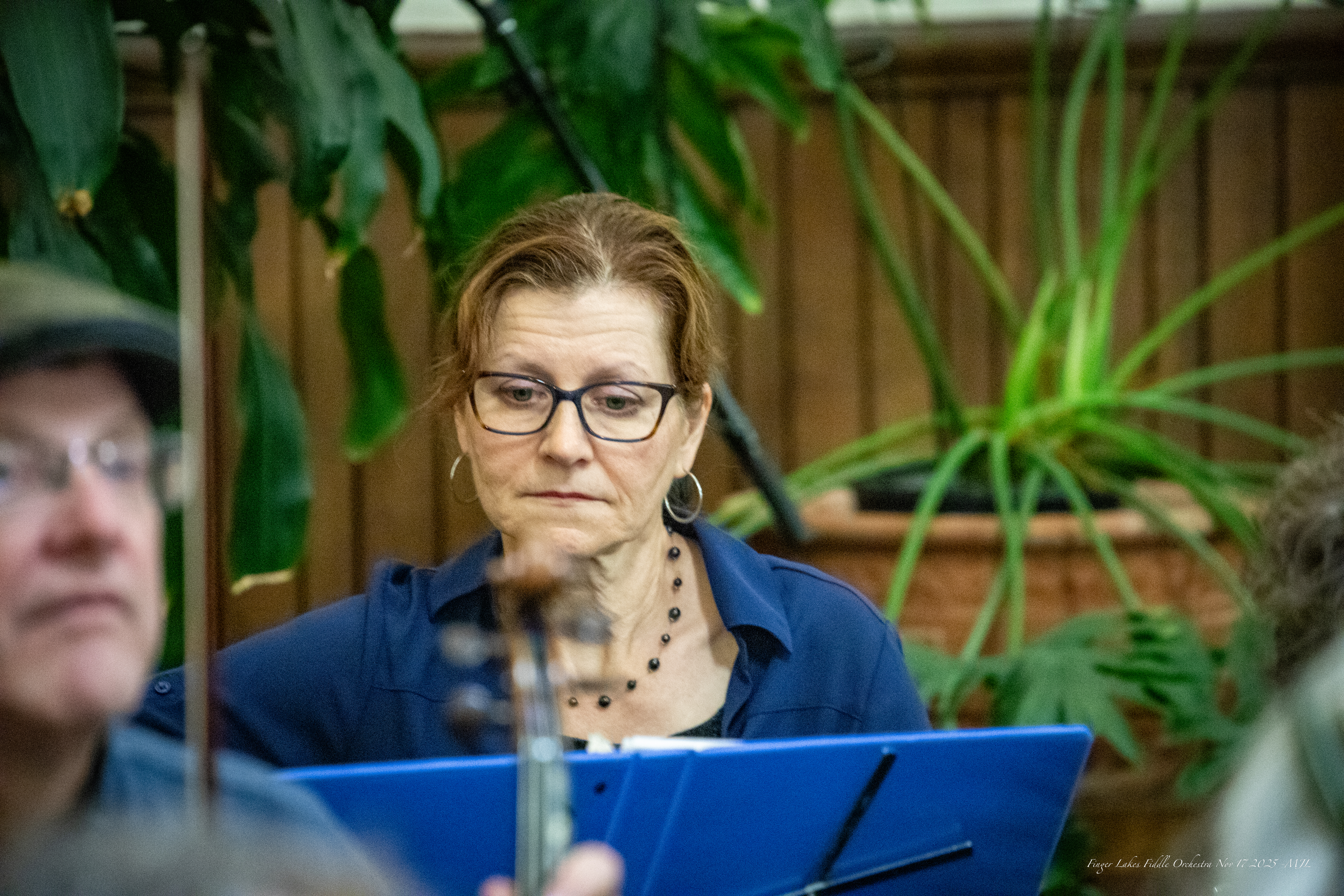 Finger Lakes Fiddle Orchestra November 2025 Concert