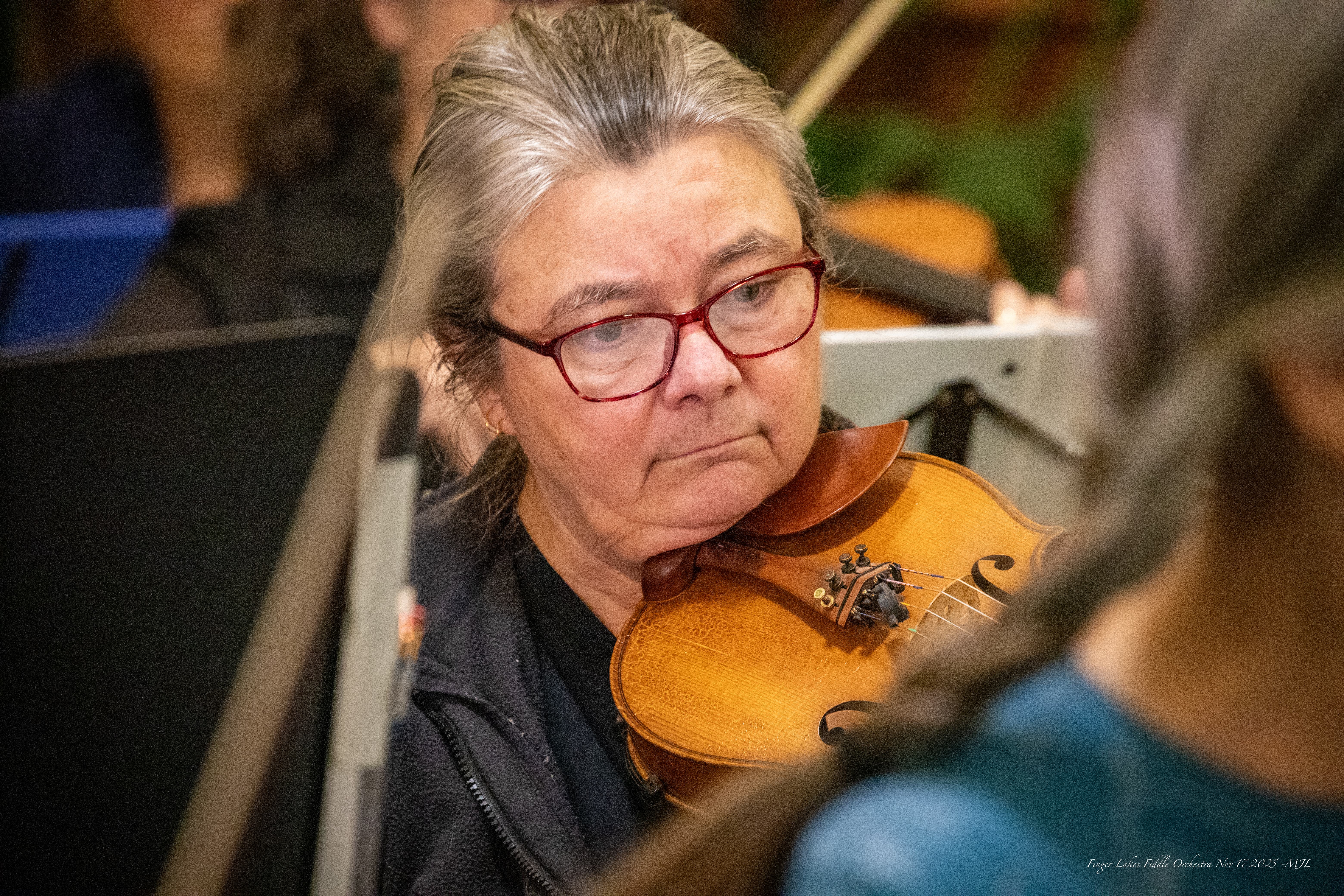 Finger Lakes Fiddle Orchestra November 2025 Concert