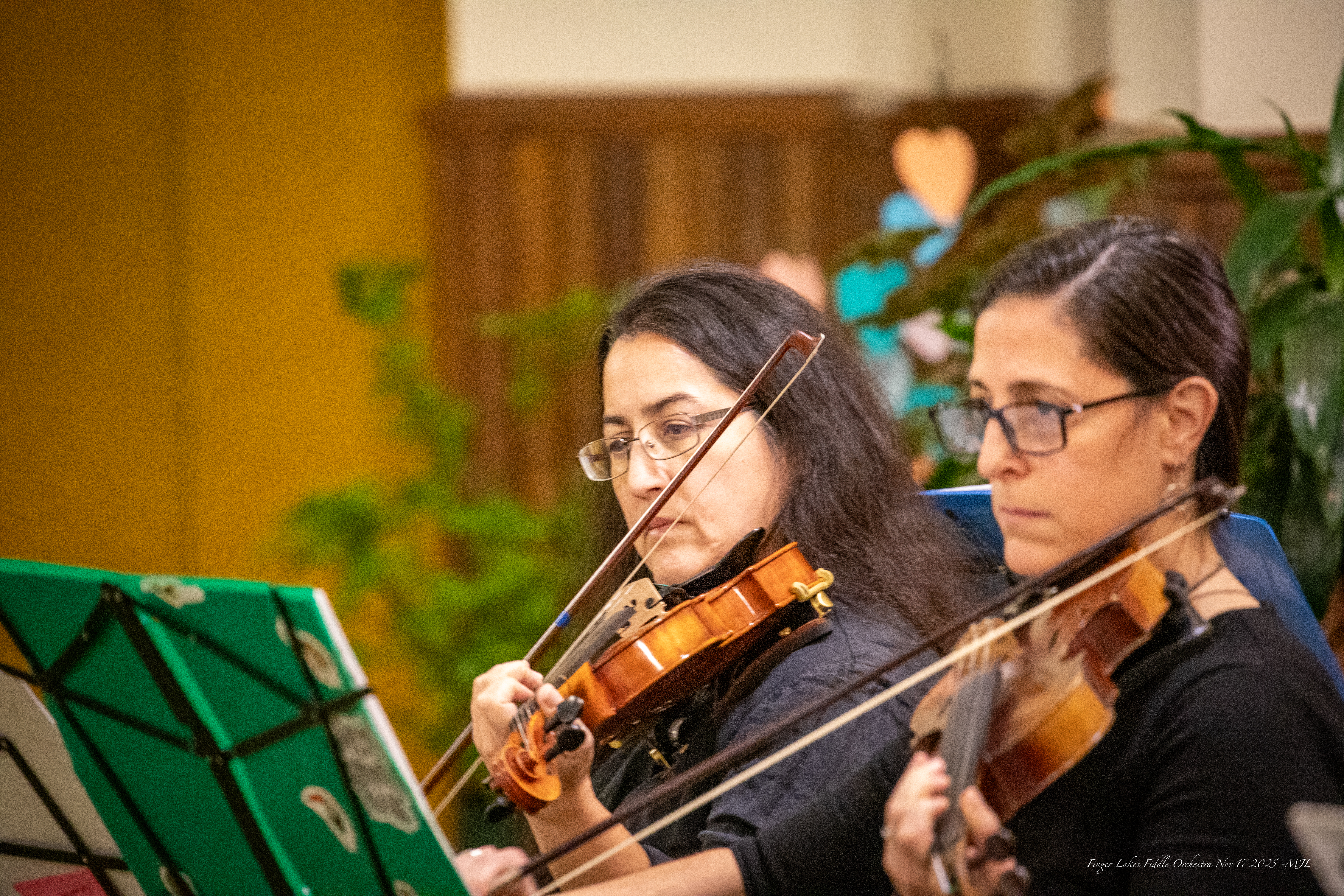 Finger Lakes Fiddle Orchestra November 2025 Concert